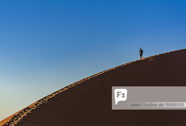 Tourists descending Dune 45 Sossusvlei Namib Desert; Namibia