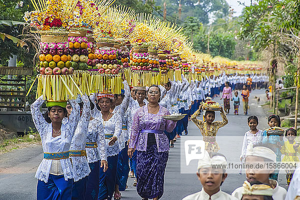 Procession of traditionally dressed women carrying temple offerings or gebogans on their head on the island Bali; Bali Indonesia
