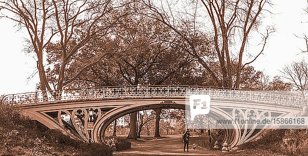 Decorative bridge in Central Park and a woman walking with her dog; New York City New York United States of America