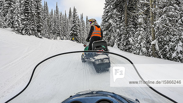 Snowmobile goes down a trail through a forest in winter; Sun Peaks British Columbia Canada