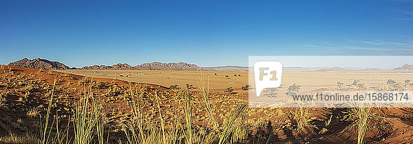 Elim-Düne  Sesriem  Namib-Naukluft-Nationalpark  Namib-Wüste; Namibia
