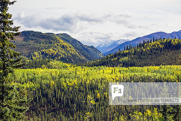 Herbstfarben in einem Tal zwischen Bergen im Denali State Park; Alaska  Vereinigte Staaten von Amerika
