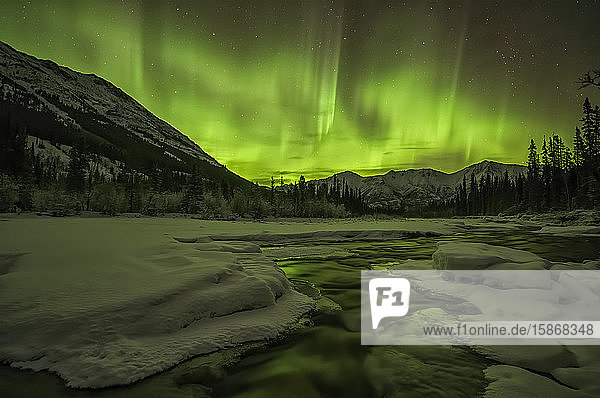Aurora Borealis oder Nordlicht am Nachthimmel von Yukon; Yukon  Kanada