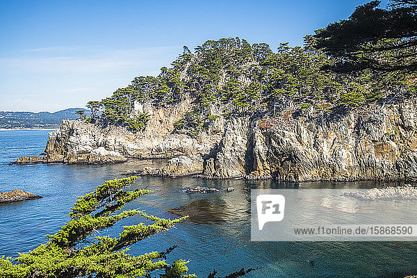 Baumbewachsene felsige Halbinsel und zerklüftete Küstenlinie im Point Lobos State Natural Reserve; Kalifornien  Vereinigte Staaten von Amerika
