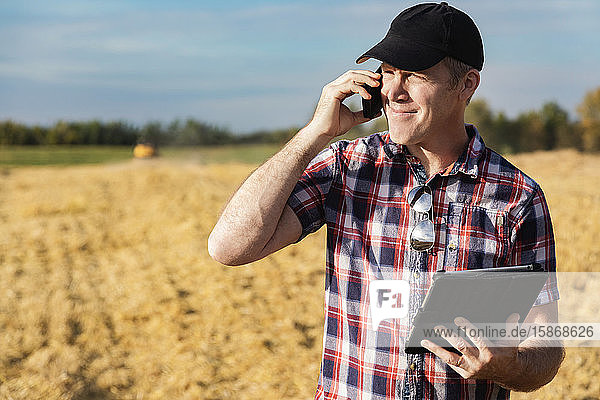 A farmer making a call and using his tablet to help manage the wheat harvest while a combine is working in the background: Alcomdale  Alberta  Canada