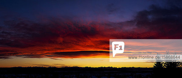 Dramatischer farbenfroher Himmel/Wolken bei Sonnenuntergang mit Baumsilhouette und Bergkette im Hintergrund; Calgary  Alberta  Kanada