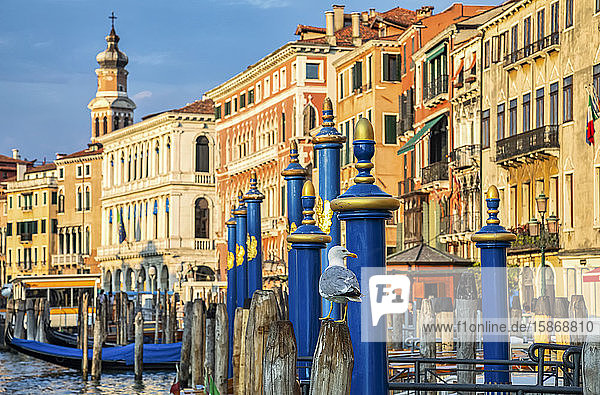Colourful architecture along the Grand Canal with gondolas moored along the waterfront; Venice  Italy