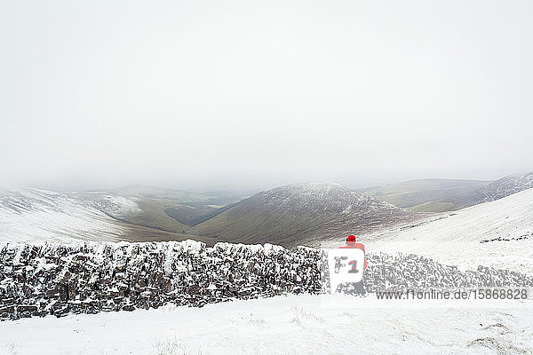 Wanderin mit Blick über eine alte Steinmauer auf dem Gipfel der Galty Mountains im Winter bei bewölktem  nebligem Wetter; County Tipperary  Irland