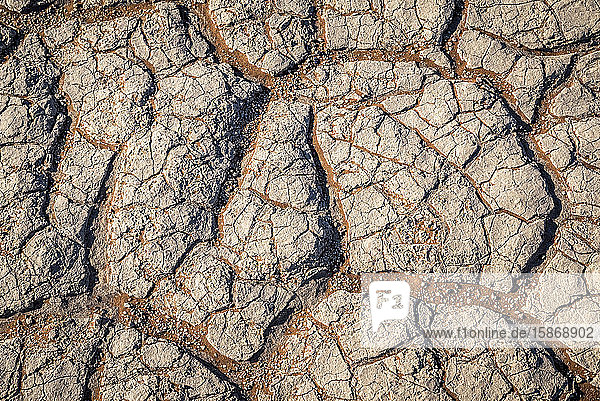 Dürre  Sossusvlei  Namib-Wüste  Namib-Naukluft-Nationalpark; Namibia