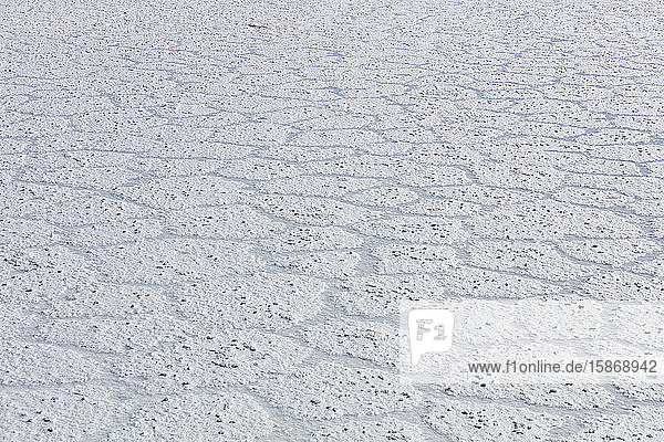 Textur des Bodens im Salar de Uyuni; Potosi  Bolivien