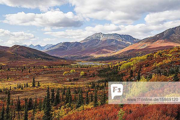 Herbstfarben lassen die Landschaft am Dempster Highway in leuchtenden Farben erstrahlen; Dawson City  Yukon  Kanada