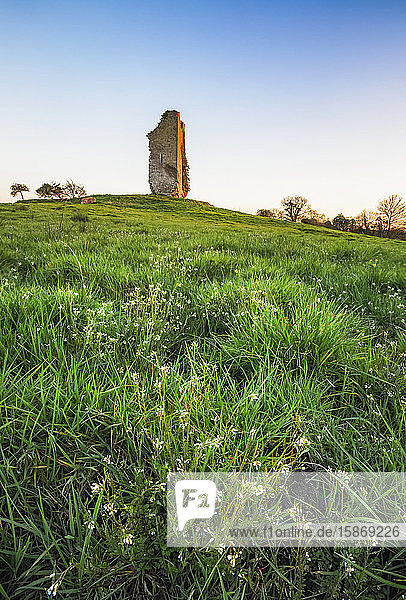 Alte Burg auf einem Hügel in einem Grasfeld mit kleinen weißen Blumen; Clonlara  Grafschaft Clare  Irland