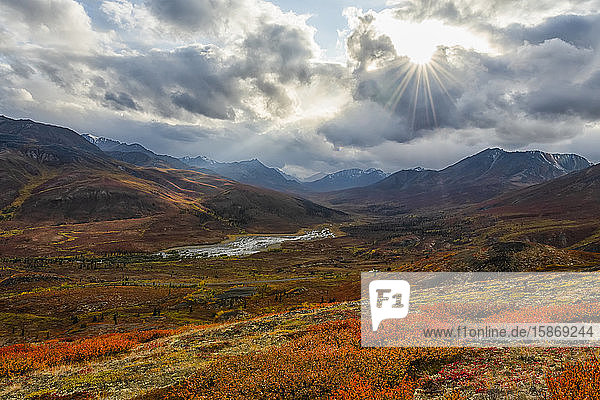 The autumn colours ignite the landscape in colour along the Dempster Highway  Yukon. An amazing  beautiful place any time of year but it takes on a different feel in autumn; Yukon  Canada