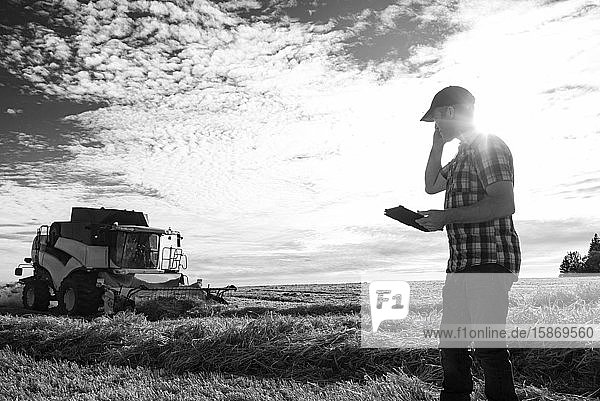 Ein Landwirt telefoniert und nutzt sein Tablet  um bei der Weizenernte zu helfen  während im Hintergrund ein Mähdrescher arbeitet: Alcomdale  Alberta  Kanada