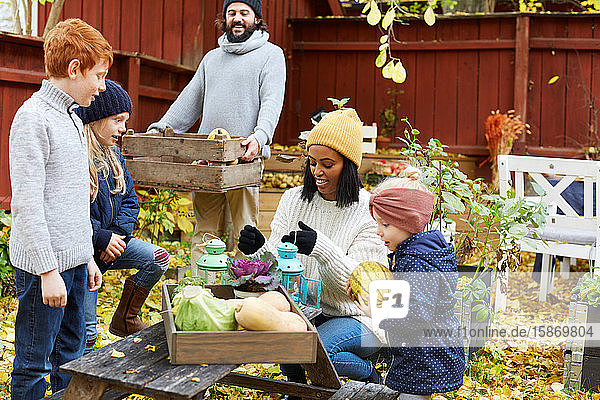 Männer und Frauen sammeln frische Produkte aus dem häuslichen Garten  während Kinder im Hof stehen