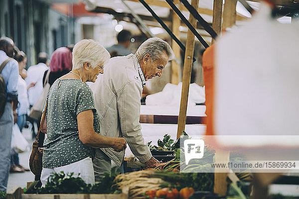 Senior male and females shopping for vegetables at market in city
