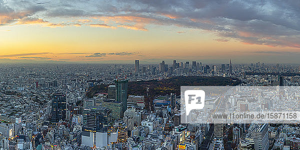 View of Shinjuku skyline and downtown at sunset, Tokyo, Honshu, Japan, Asia