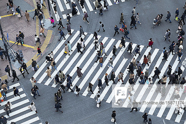 People crossing Shibuya Crossing,  Shibuya,  Tokyo,  Honshu,  Japan,  Asia