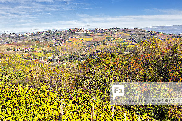 Dorf Diano d'Alba im Herbst  Weinregion Barolo  Langhe  Piemont  Italien  Europa