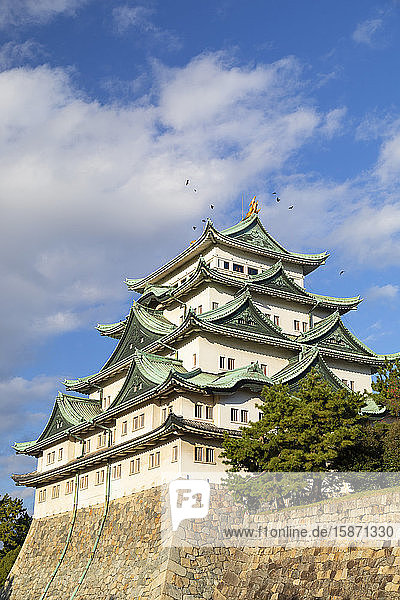 Burg Nagoya  Nagoya  Honshu  Japan  Asien
