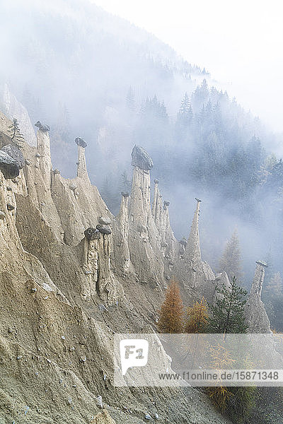 Colorful trees on rocks of the Earth Pyramids in autumn Perca (Percha) province of Bolzano South Tyrol Italy Europe