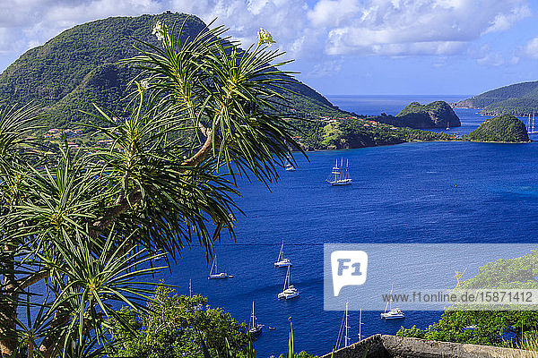 Wunderschöne Bucht von Les Saintes von Fort Napoleon aus  Bourg des Saintes  Terre de Haut  Iles Des Saintes  Guadeloupe  Inseln unter dem Winde  Westindische Inseln  Karibik  Mittelamerika