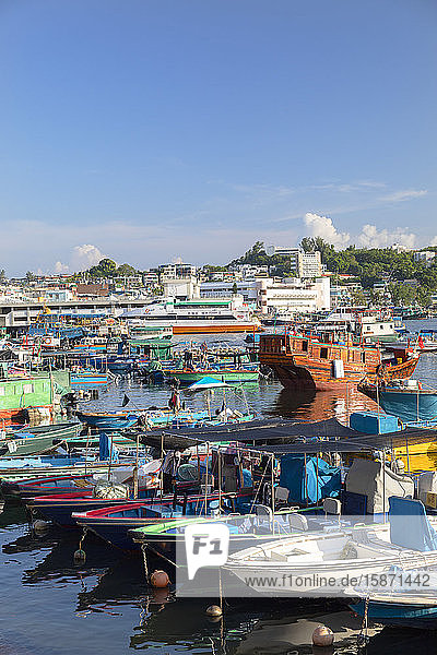 Fishing boats in harbour  Cheung Chau  Hong Kong  China  Asia