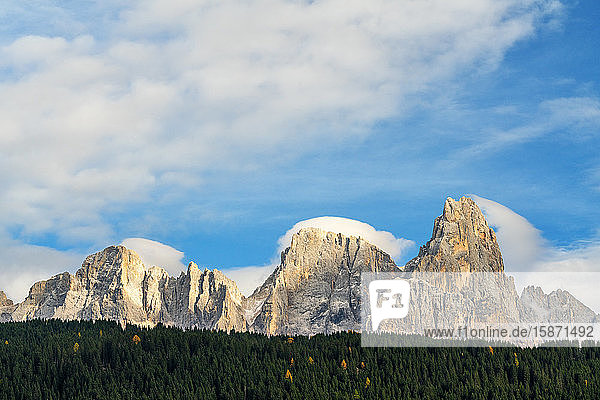 Majestic Pale di San Martino (Pala group) surrounded by woods in autumn Rolle Pass Dolomites Trentino Trento Italy Europe
