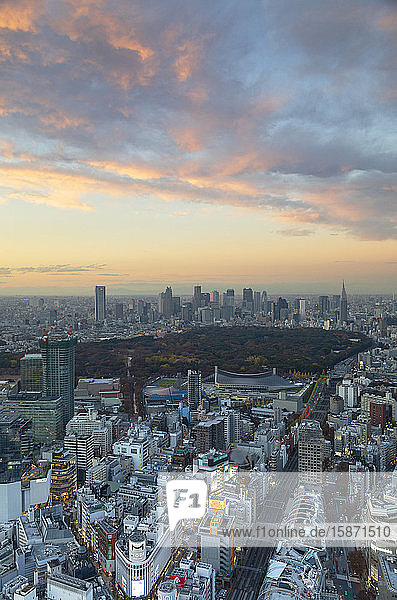 View of Shinjuku skyline and downtown at sunset  Tokyo  Honshu  Japan  Asia