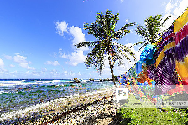 Bathsheba  bunte Gewänder wehen im Wind  windgepeitschte Palmen  Atlantikwellen  zerklüftete Ostküste  Barbados  Inseln über dem Winde  Westindische Inseln  Karibik  Mittelamerika