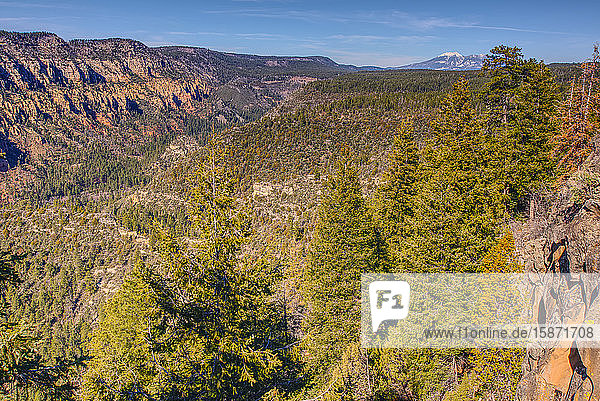 Blick auf die San Francisco Peaks von einer Klippe am Ende des Telephone Trail nördlich von Sedona mit dem Oak Creek Canyon auf der linken Seite  Arizona  Vereinigte Staaten von Amerika  Nordamerika