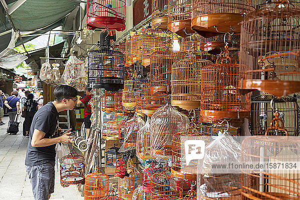 Bird Market, Mong Kok, Kowloon, Hong Kong, China, Asia