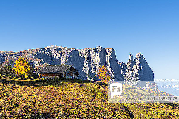 Traditionelle Hütten auf der Seiser Alm im Herbst mit den Schlerngipfeln im Hintergrund  Dolomiten  Südtirol  Italien  Europa