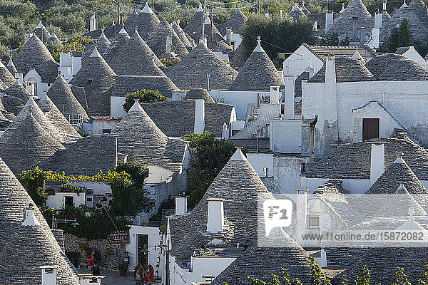 Conical dry stone roofs on trulli traditonal houses in Alberobello UNESCO World Heritage Site Bari Province Puglia Italy Europe