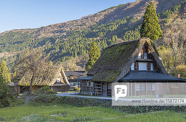 Traditionelle Häuser von Ainokura  UNESCO-Weltkulturerbe  Gokayama  Präfektur Toyama  Honshu  Japan  Asien