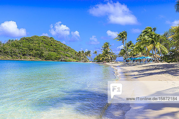 Schöner weißer Sandstrand  türkisfarbenes Meer  Palmen  Saltwhistle Bay  Mayreau  Grenadinen  St. Vincent und die Grenadinen  Inseln über dem Winde  Westindien  Karibik  Mittelamerika