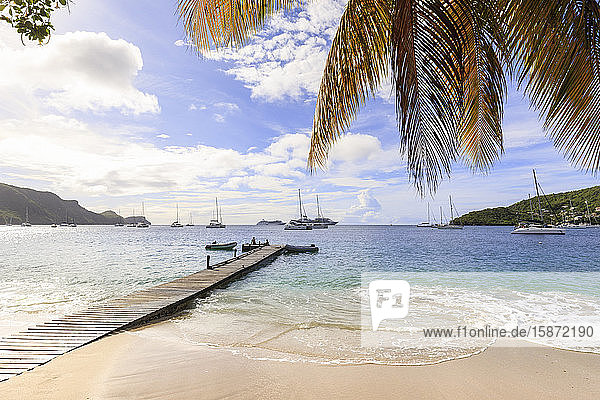 Ruhige Karibik  Palme am Meeresufer  Bootssteg  schönes Port Elizabeth  Admiralty Bay  Bequia  Die Grenadinen  St. Vincent und die Grenadinen  Inseln über dem Winde  Westindische Inseln  Karibik  Mittelamerika