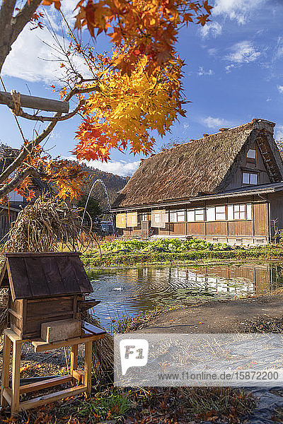 Traditional house of Ogimachi, UNESCO World Heritage Site, Shirakawa-go, Toyama Prefecture, Honshu, Japan, Asia