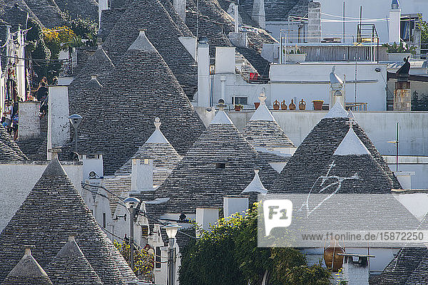 Conical dry stone roofs on trulli traditonal houses in Alberobello UNESCO World Heritage Site Bari Province Puglia Italy Europe