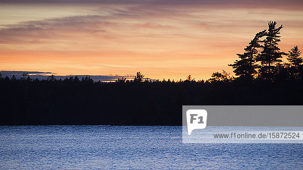 Silhouette of trees and lake at sunset