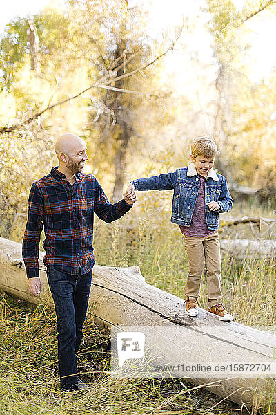 Mann hält die Hand seines Sohnes  als dieser auf einem umgestürzten Baum läuft