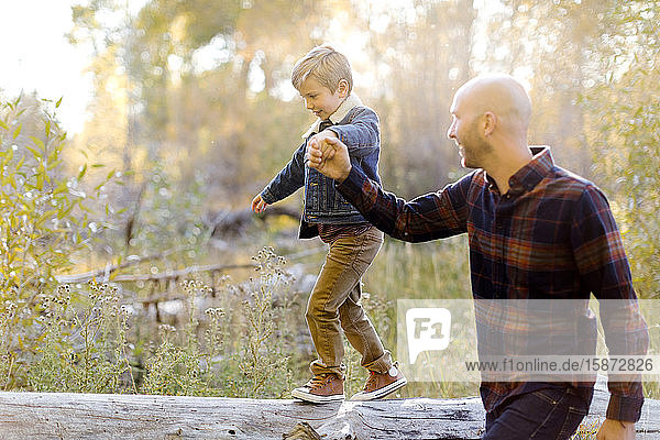 Mann hält die Hand seines Sohnes  als dieser auf einem umgestürzten Baum läuft