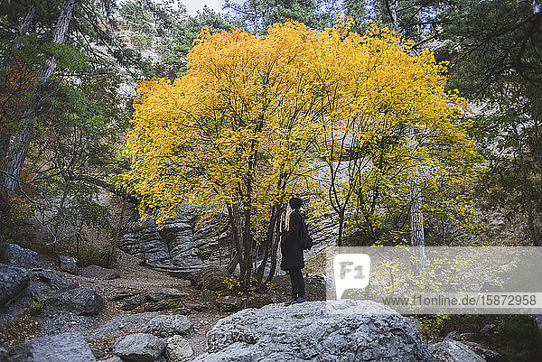 Junge Frau auf Felsblock im Herbstwald