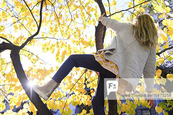 Girl climbing tree during autumn