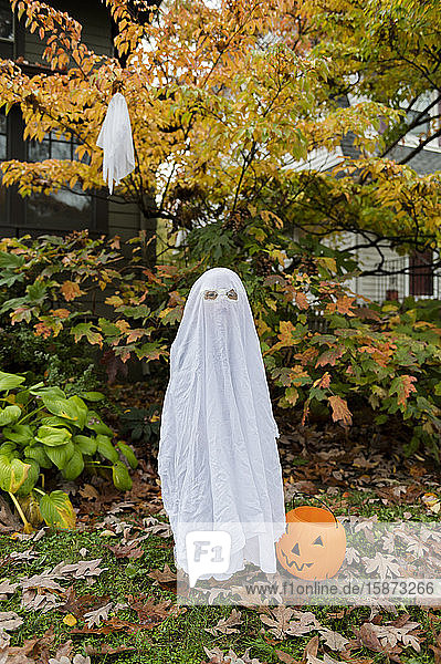 Boy in ghost costume for Halloween