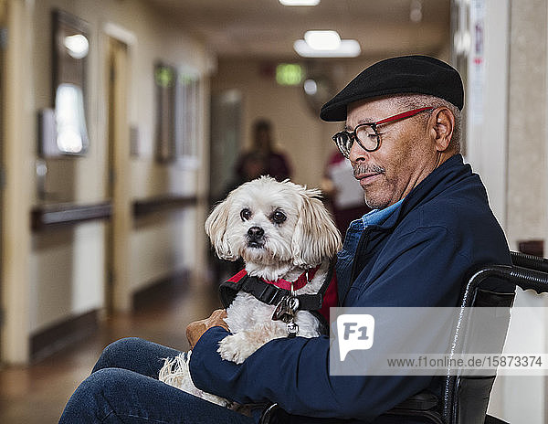 Senior man holding dog in wheelchair