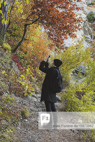 Junge Frau fotografiert mit Smartphone im Herbstwald