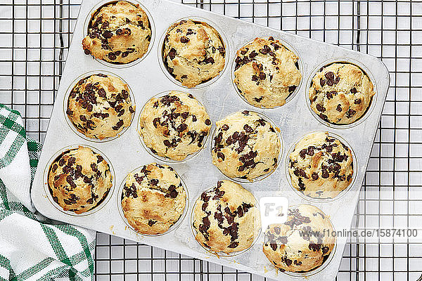 Fruit muffins in muffin tin