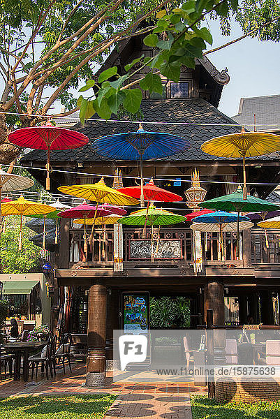 Asia  Thailand  Chiang Mai