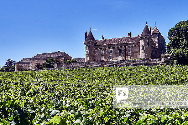 Europa  Frankreich   Departement Bourgogne-Franche-ComtÃ©  Inmitten der Weinberge liegt das ChÃ¢teau de Rully  eine mÃ©diÃ©valistische Festung aus dem 12.
